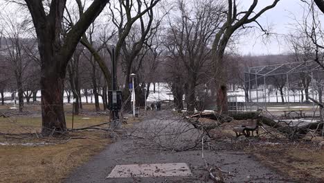 splintered tree blocking park path in montreal during winter