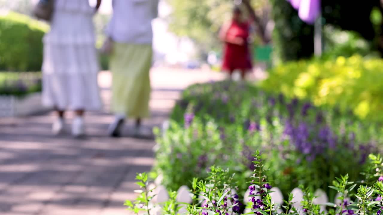 Visitors stroll along a vibrant garden path lined with purple and yellow flowers under the sunlight.