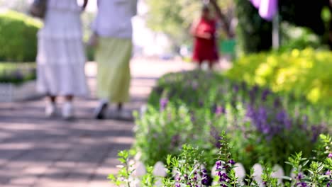 visitors stroll along a vibrant garden path lined with purple and yellow flowers under the sunlight.