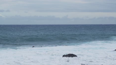 wide view of ocean waves rolling across the surface, creating white foam as they approach the shoreline beneath a gray cloudy sky and distant horizon
