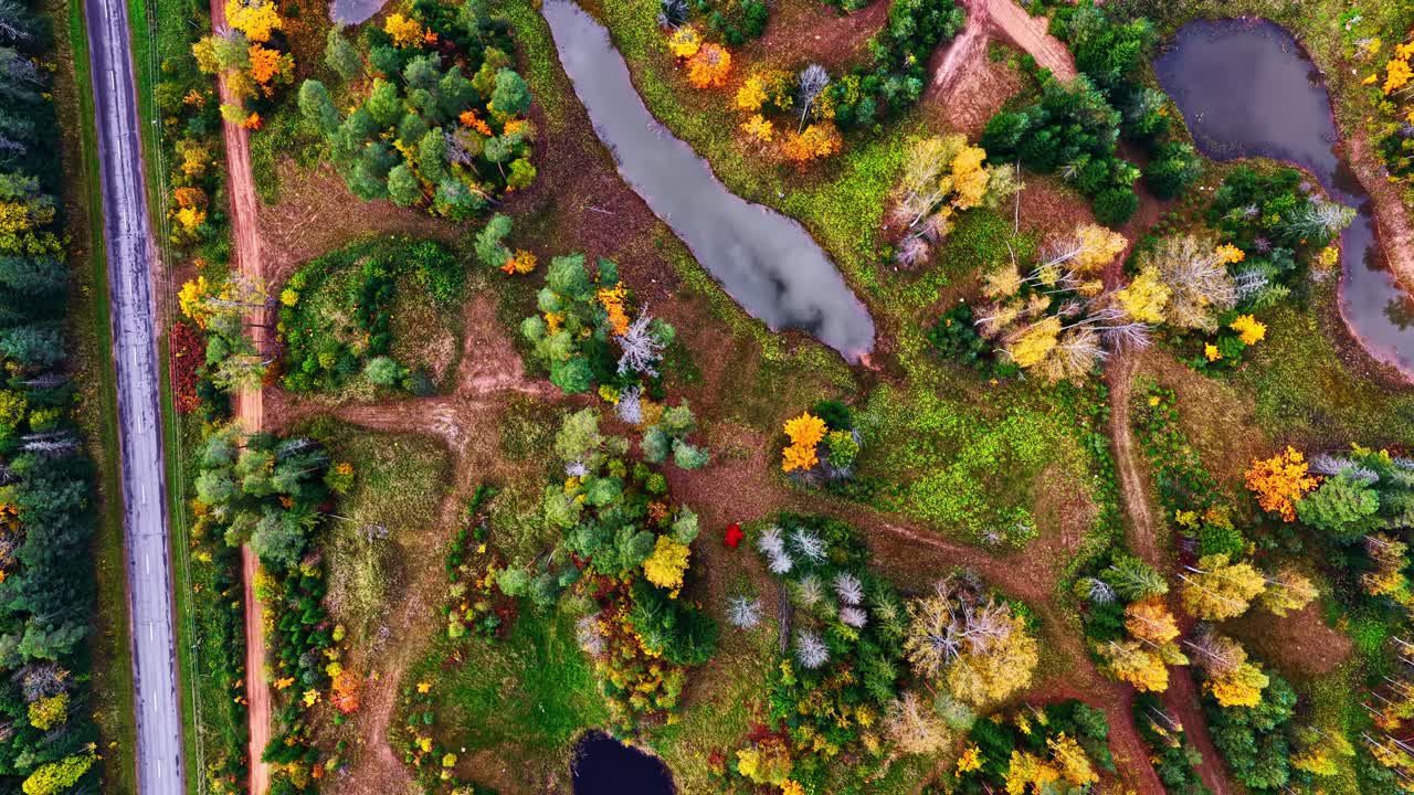 Aerial top view of colorful autumn forest with small lakes and a winding path along the edge