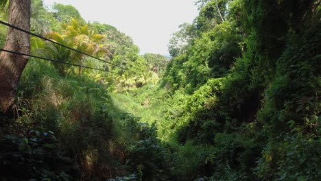 Adventurous-young-woman-films-zipline-through-lush-Honduras-jungle