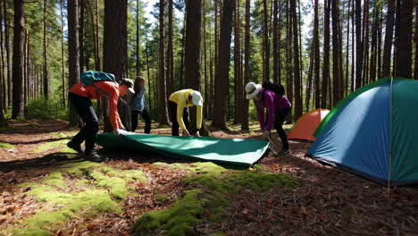 friends camping in a forest