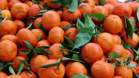 naranjas maduras a la venta en un puesto de mercado