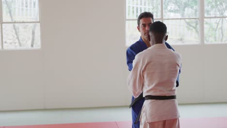 judokas training by doing a randori on the judo mat