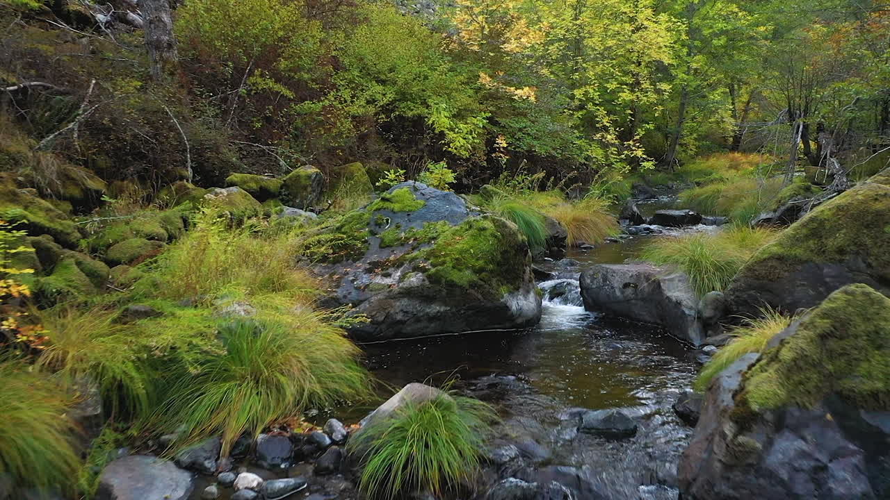 dronbillede af mountain creek