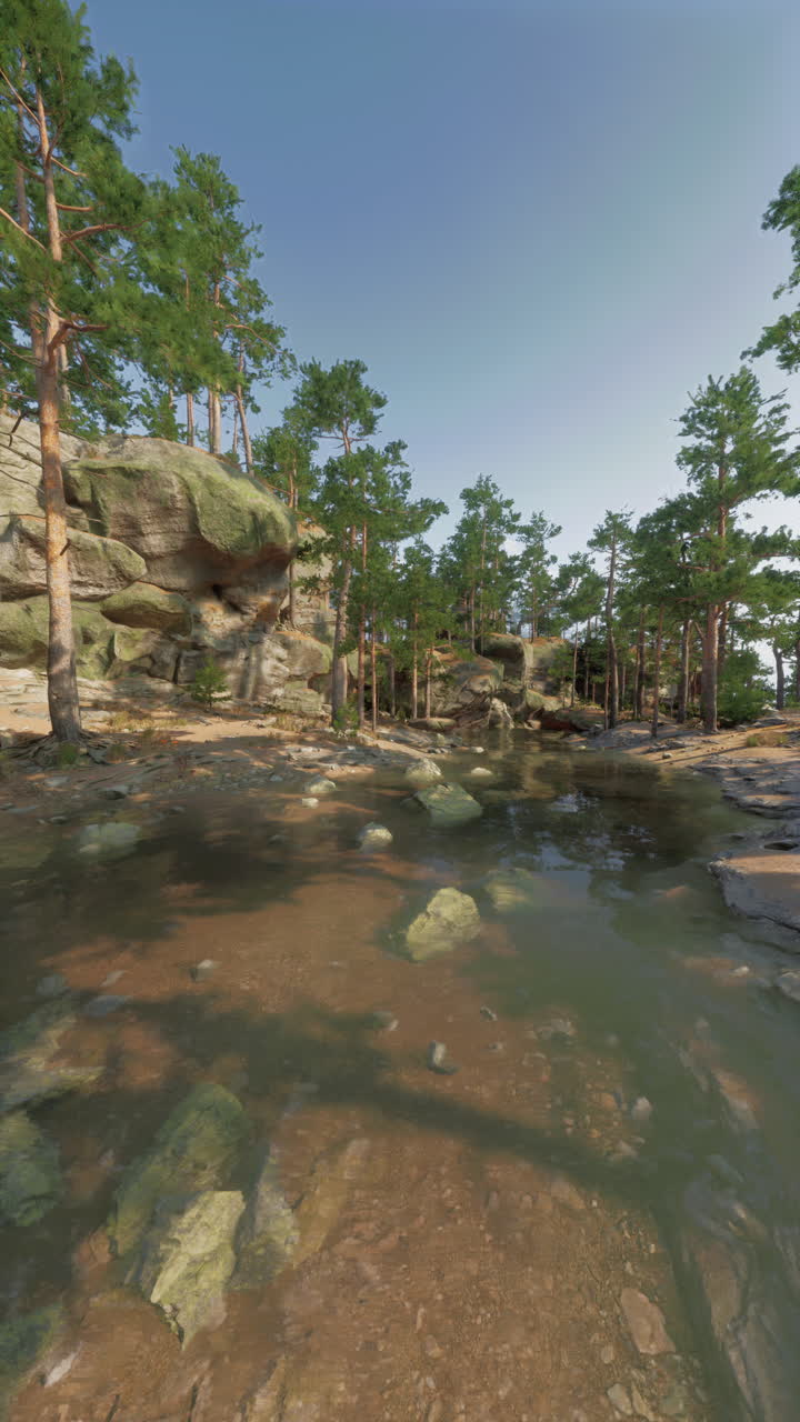 живописный вид на лес с ручьем, протекающим через него