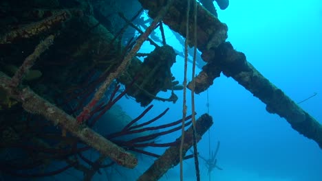 rueda de popa hilma hooker