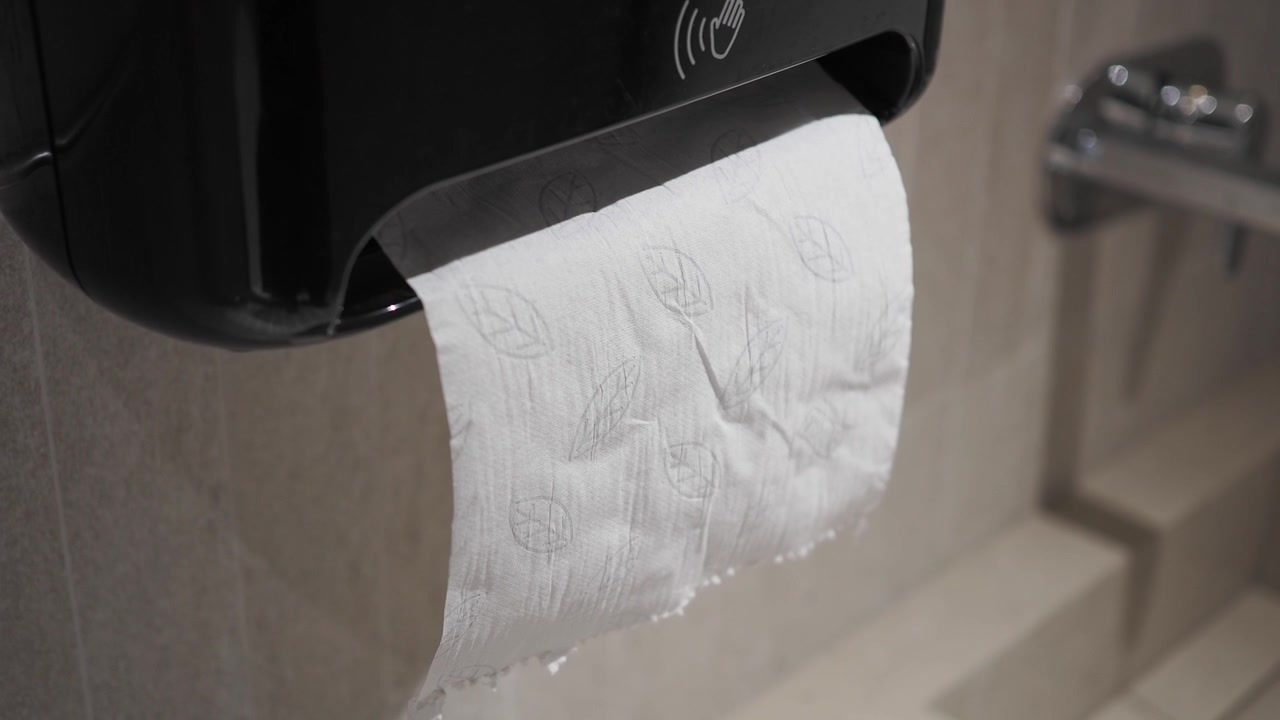 Automatic Toilet Paper Dispenser in a Public Restroom