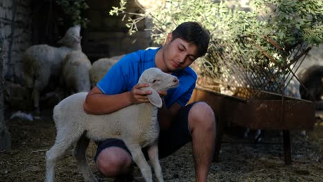 young shepherd looking after lamb