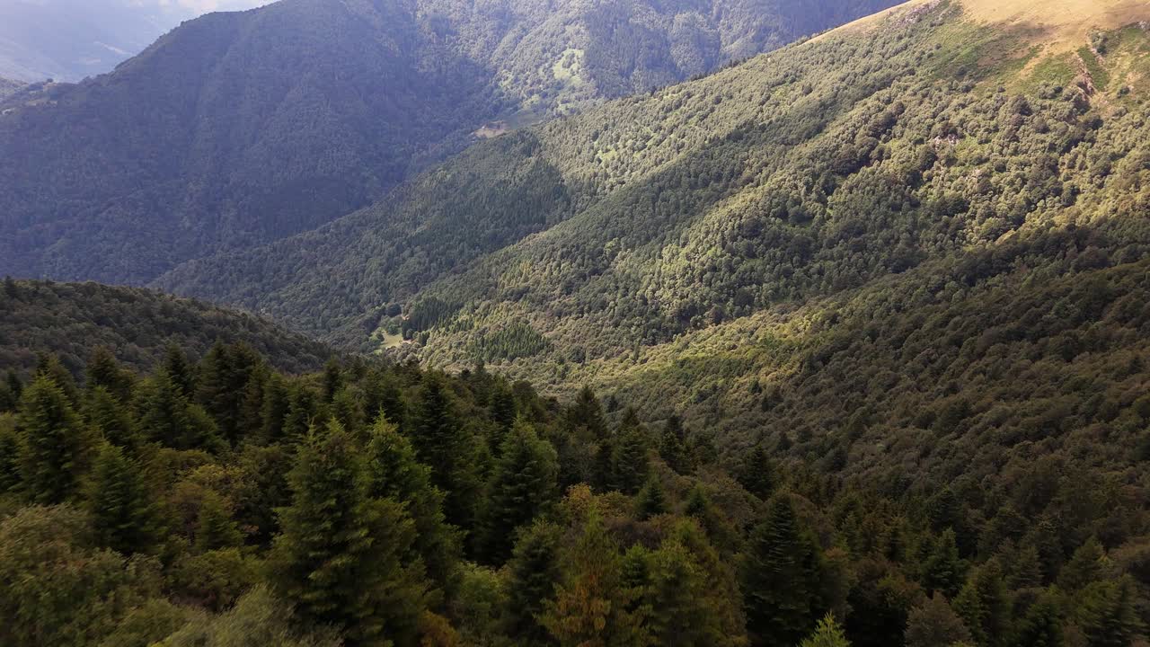 Lush green forests covering the steep, rugged slopes of Monte Grona in Northern Italy, creating a vibrant landscape of natural beauty and untouched wilderness under natural sunlight, near Como, Italy