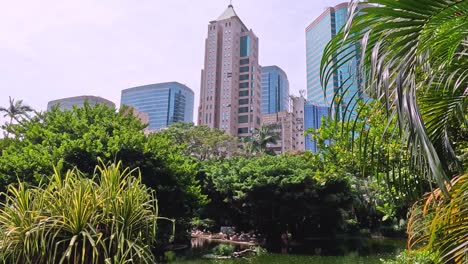 lush greenery surrounds a tranquil urban pond