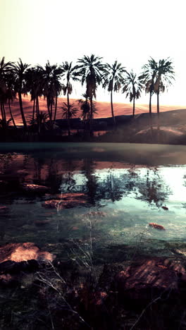 serene oasis sunset: palm trees reflecting in calm desert water