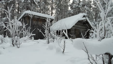 small wooden cabin in lapland winter forest, snow in foreground pan