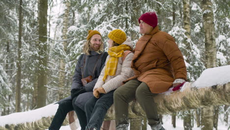 tres amigos sentados en un tronco de árbol hablando y mirando alrededor en un bosque nevado 1