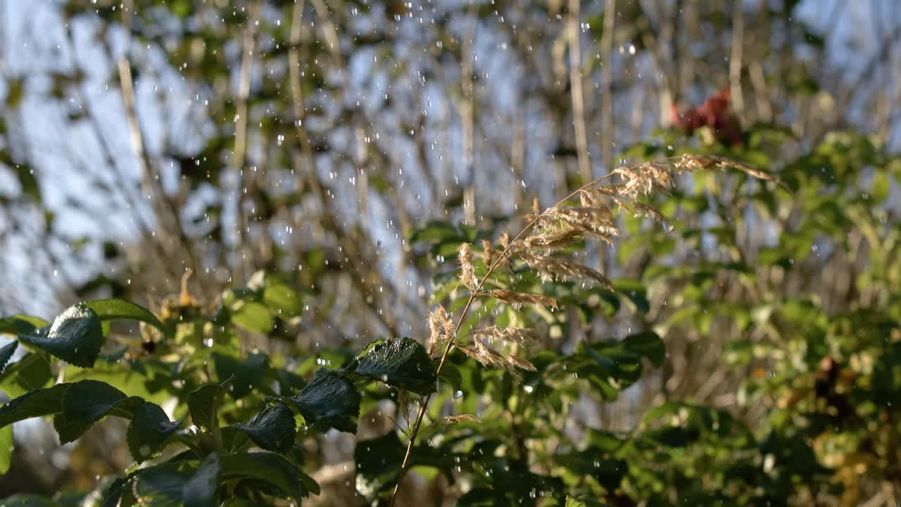 ⁇ 방울이 슈퍼 슬로우 모션으로 떨어집니다.