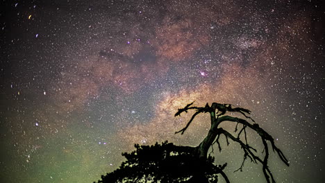 timelapse of the sky and the milky way in motion