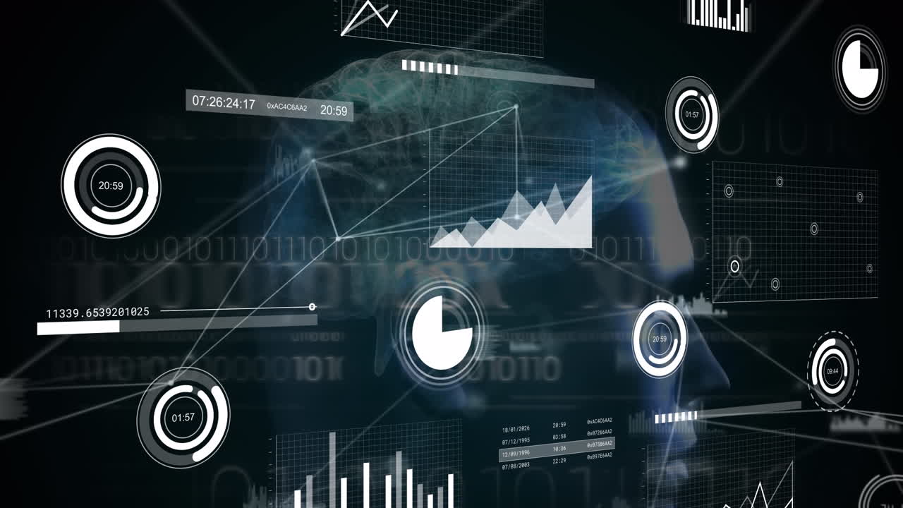Animation of network of connections and interface with data processing over human head model