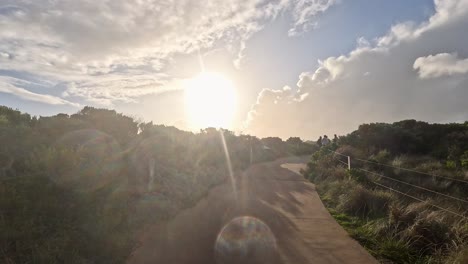 scenic walk through bushland at sunset