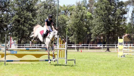 horse and rider jumping over obstacles