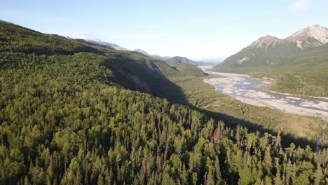 vuelo aéreo lejos del atardecer a lo largo de las copas de los árboles y hacia el río matanuska en las montañas talkeetna