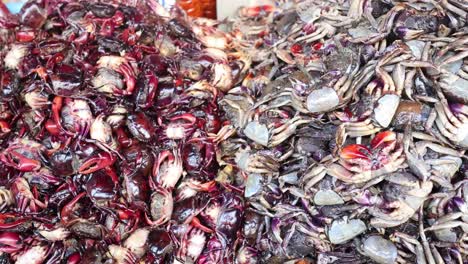 sorting and collecting crabs at a seafood market