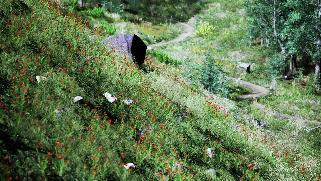 Vibrant wildflowers adorn a gentle hillside under warm sunlight