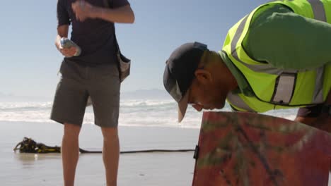 voluntarios masculinos limpiando la playa en un día soleado 4k