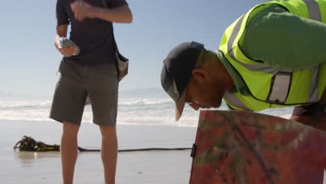 male volunteers cleaning beach on a sunny day 4k