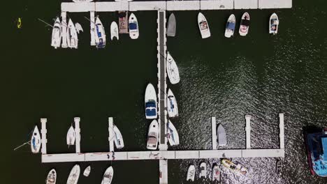 aerial shot of pucon harbour