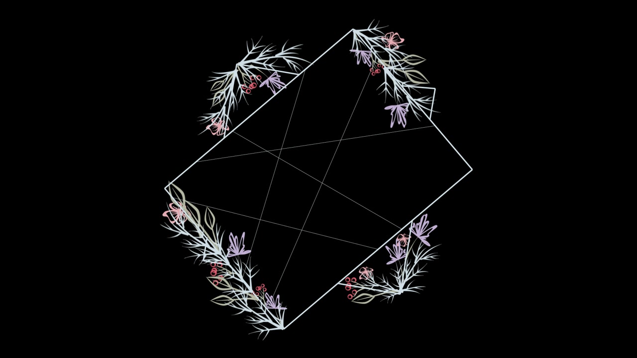 Animovaný květinový rám s geometrickými liniemi na černém pozadí