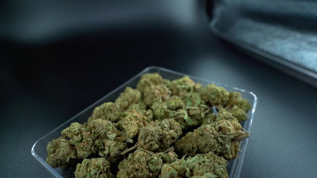 A close up detailed crane backwards movement shot of a cannabis plant, marijuana flower in a clear plate, hybrid strains, Indica and sativa, 120 fps slow motion Full HD, cinematic studio lighting