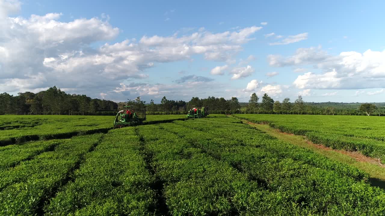 Premium stock video - Tractors working on the green tea harvest in a ...