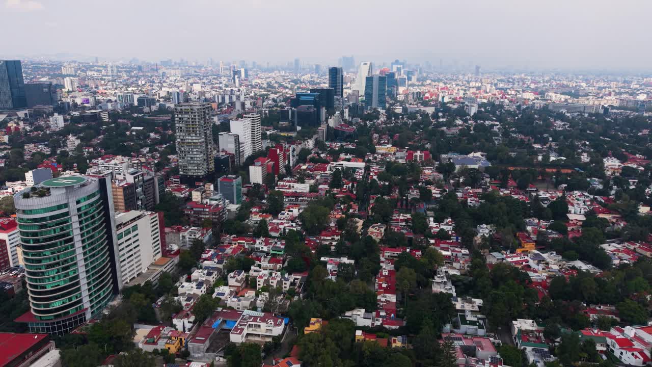 Bird's-eye perspective of principal avenue south of Mexico City