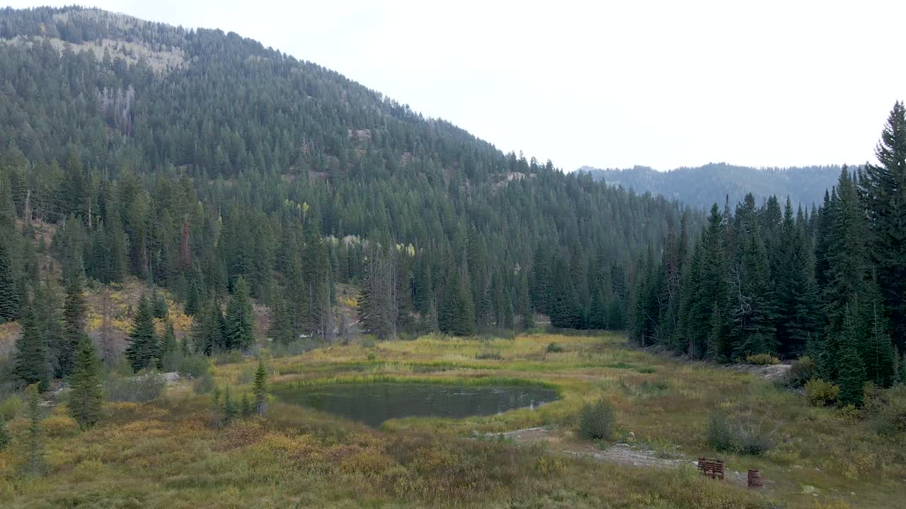 bosque de montaña y lago desierto, utah wasatch range, vista aérea