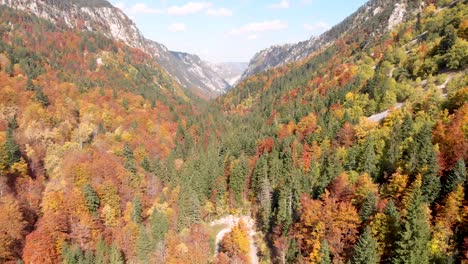 aerial view of incredible fall colors in the durmitor national park in montenegro