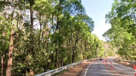 road construction amidst lush forest scenery