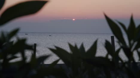 amanecer horizonte oceánico, cerrar plantas en primer plano, balcón pov, almería, españa