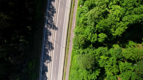 Autopista-Recta-Asfaltada-En-Un-Denso-Bosque-Verde-En-Gdynia,-Polonia---Antena-Arriba-Hacia-Abajo