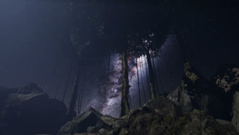 4k astro of milky way galaxy over tropical rainforest.