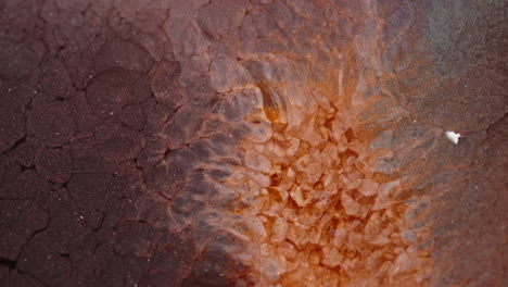 vibrant red and orange liquids blending together in a mesmerizing abstract macro shot