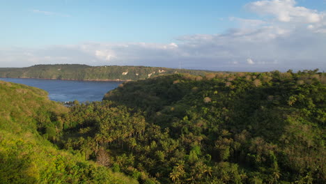 aerial flying over lush tropical forest valley leading to gamat bay beach at golden hour in nusa penida, bali indonesia