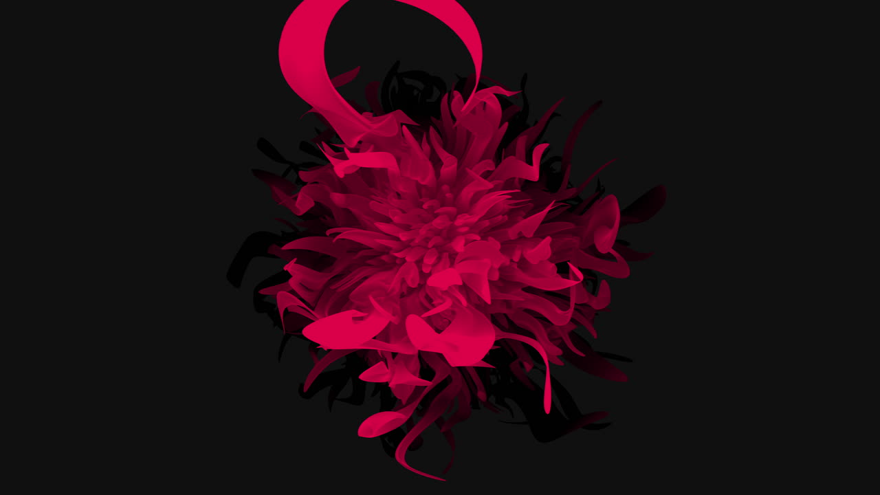 Mesmerizing red flower blooms in spiraling pattern on dark background