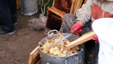 Bienenfarm-In-Zentralasien,-Kirgisistan