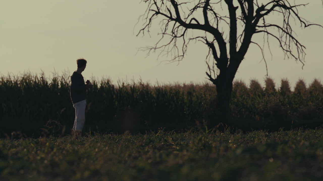 Solitary Figure in a Field at Twilight