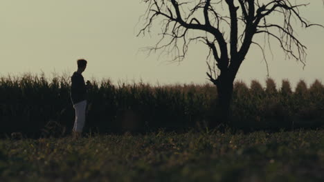 solitary figure in a field at twilight