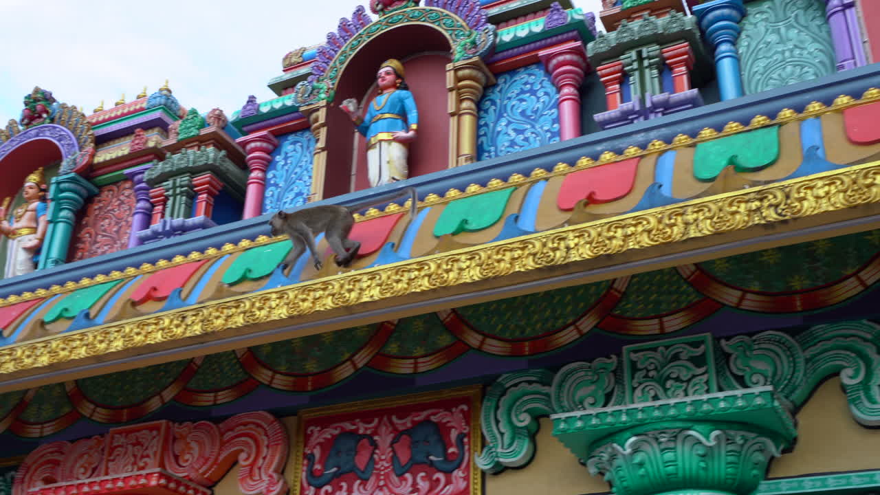 말레이시아 쿠알라룸푸르의 바투 동굴에 있는 다채로운 사원의 지붕을 뛰어다니는 장난기 많은 원숭이