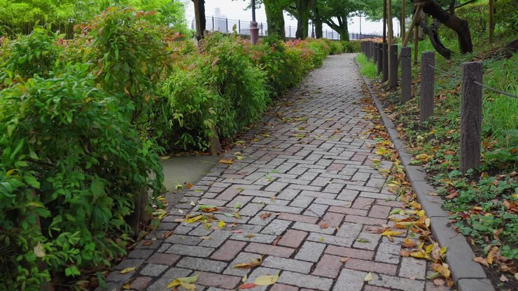 A peaceful shot of a brick-paved path lined with green bushes and trees in a serene park or garden setting