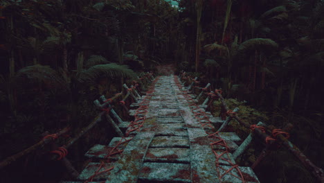 exploring the ancient stone path through the dense forest in venezuela