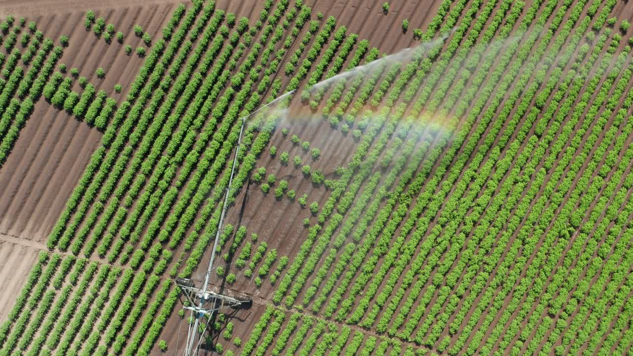 aérea de arriba hacia abajo, formación de arco iris, riego de pivote central pistola final riego cultivos agrícolas